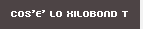 COS'E' LO XILOBOND T