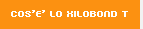 COS'E' LO XILOBOND T